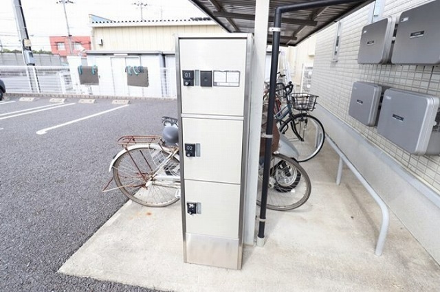 サニースワンのその他写真