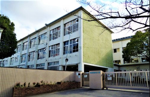 小学校　くすのき小学校（小学校）まで214m