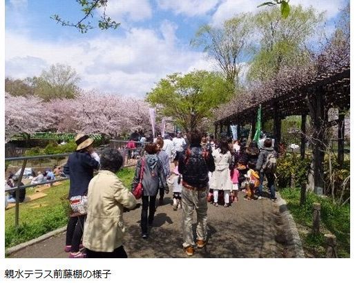 その他　祖師谷公園（その他）まで285m