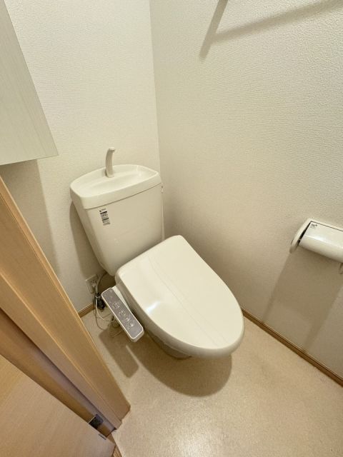 グレイス メゾン 郡津のトイレ写真