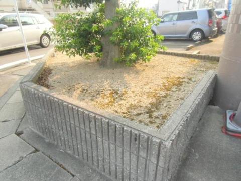庭　植栽（イメージ）