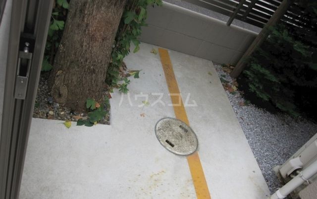 庭