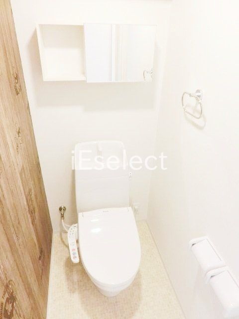 ＪＲ内房線 浜野駅 徒歩24分 3階建 築5年のトイレ写真