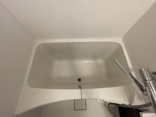 バス・シャワールーム　落ち着いた空間のお風呂です