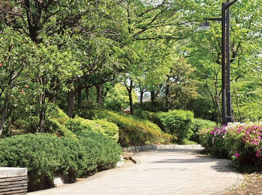 公園　西大井広場公園（公園）まで453m