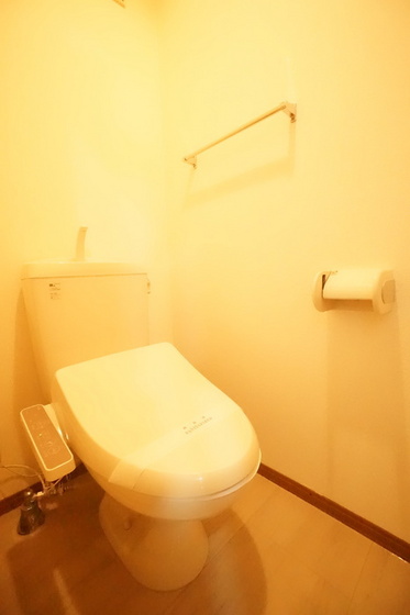 トイレ　他号室写真です