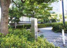 公園　亀の甲緑地（公園）まで466m