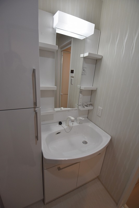 洗面設備　シャンプードレッサー+収納