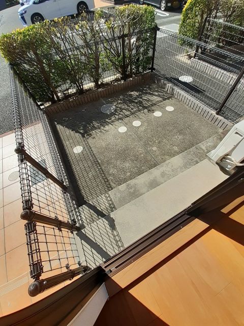 庭