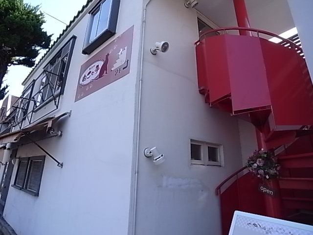 その他　ネコの手（その他）まで454m