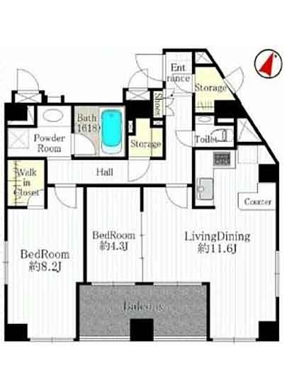 港区西麻布のマンションの間取り