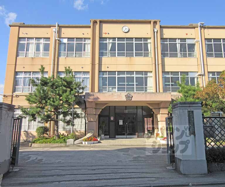 中学校　桃山中学校（中学校）まで783m