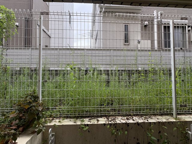 イーストビー国立のその他写真