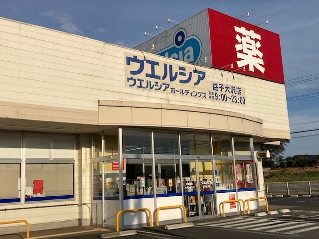 ドラックストア　ウエルシア 益子大沢店（ドラッグストア）まで245m