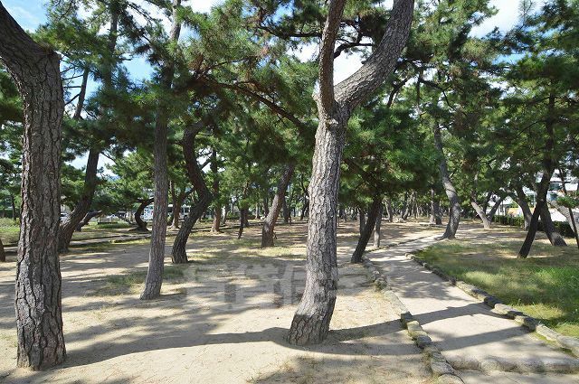 【芦屋市西山町のマンションのその他】