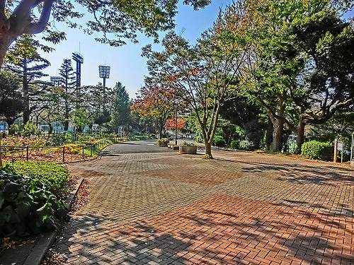 公園　三ツ沢公園（公園）まで683m