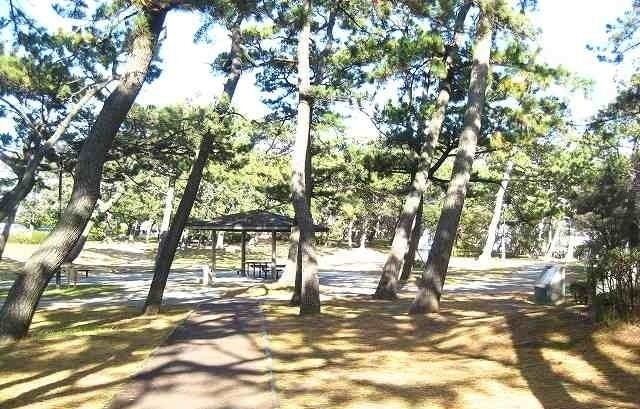 公園　千本公園（公園）まで1200m