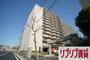 西千葉駅より徒歩11分 12階 築27年5ヶ月の賃貸物件
