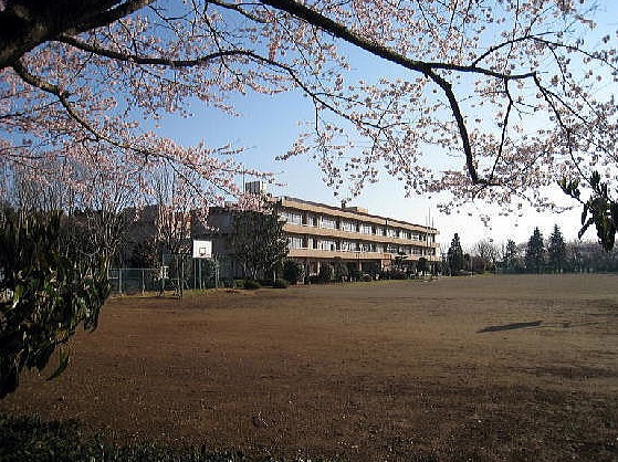 中学校　阿見町立朝日中学校（中学校）まで4075m
