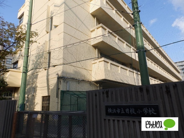 小学校　横浜市立日枝小学校（小学校）まで137m