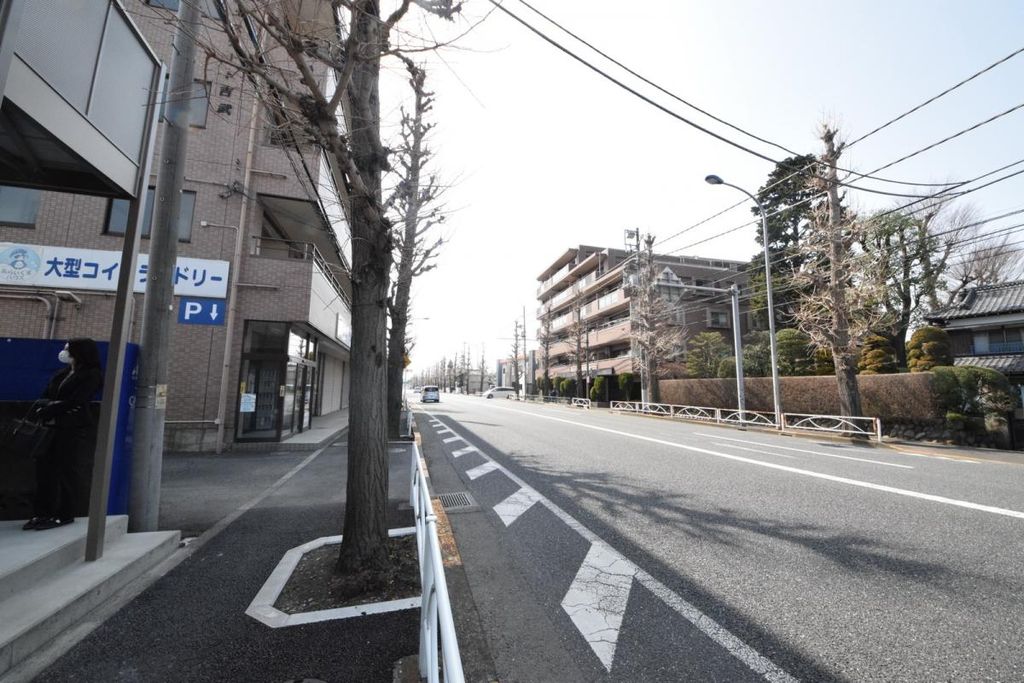 眺望　駐車場