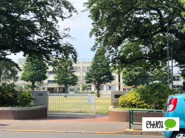 小学校　中野区立武蔵台小学校（小学校）まで477m