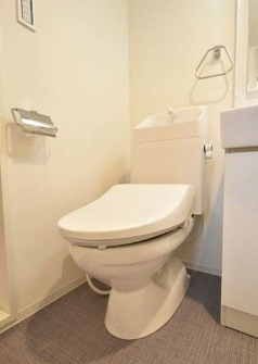 メゾンドSのトイレ写真