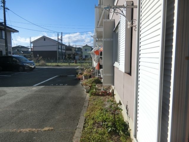 庭