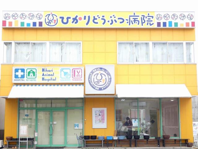 病院　ひかりどうぶつ病院（病院）まで450m