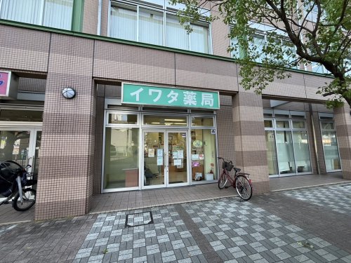 ドラックストア　イワタ薬局（ドラッグストア）まで217m