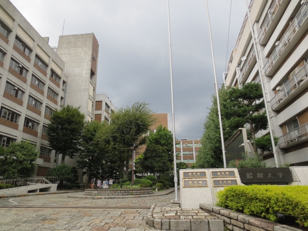 大学・短大　昭和大学（大学・短大）まで257m