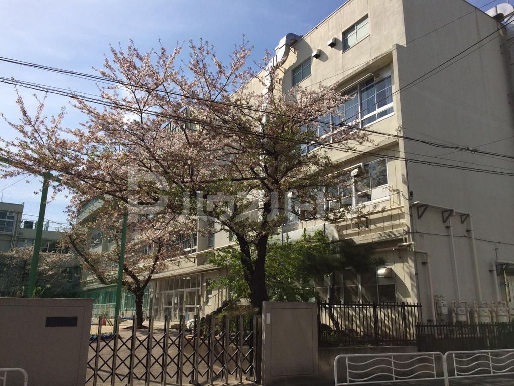 小学校　江東区立八名川小学校（小学校）まで40m