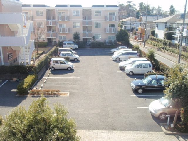 庭