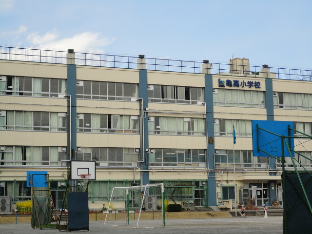 小学校　江東区立亀高小学校（小学校）まで356m