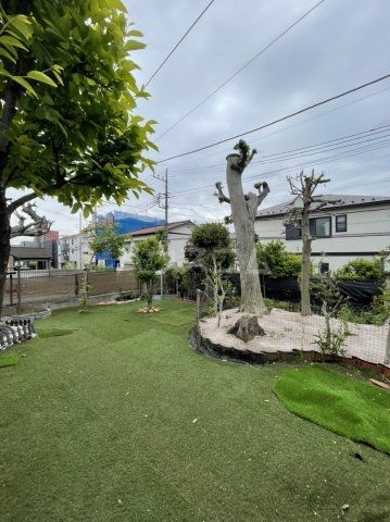 庭
