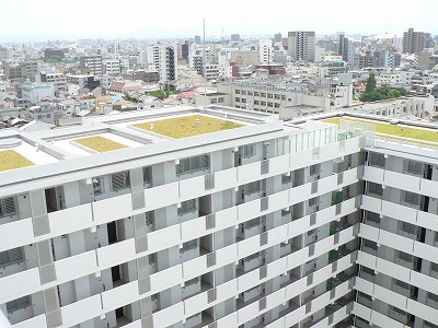 その他共有部分　敷地内２（屋上緑化）