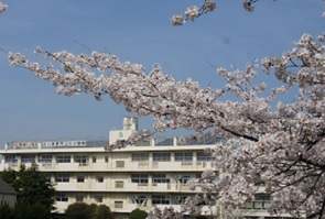 小学校　さいたま市立辻小学校（小学校）まで1685m