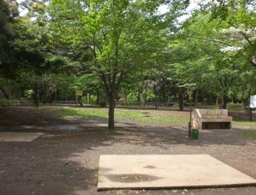 公園　都立和田堀公園（公園）まで901m