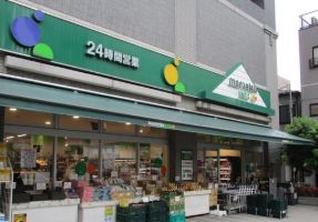 都営新宿線 森下駅 徒歩2分 6階建 築10年の周辺写真