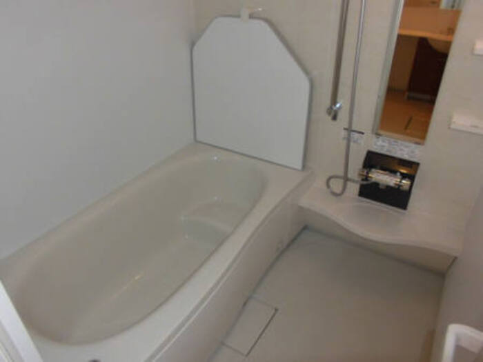 バス・シャワールーム　一坪タイプ浴室(浴室TV付)