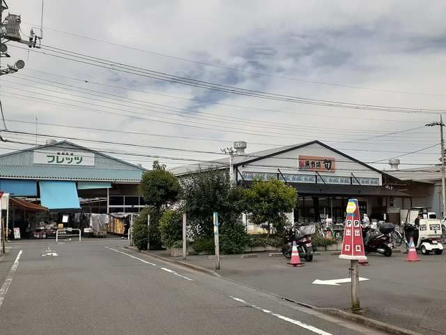 スーパー　新鮮市場フレッツ（スーパー）まで291m