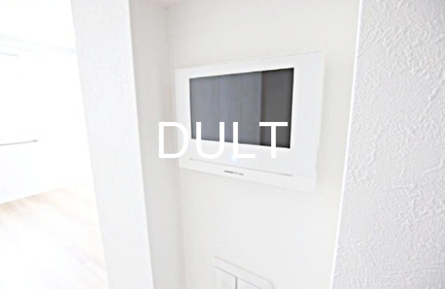 セキュリティ　モニター付きインターホンです。