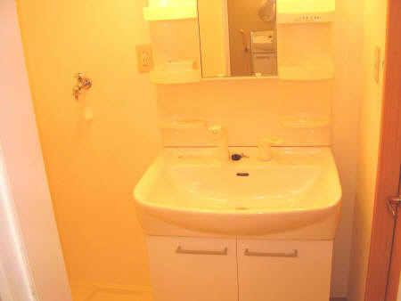 洗面設備　シャンプードレッサー完備ですヽ(＾o＾)丿