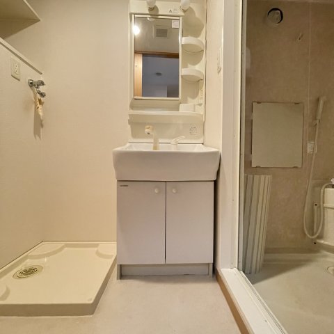 洗面設備　同号室のタイプです。