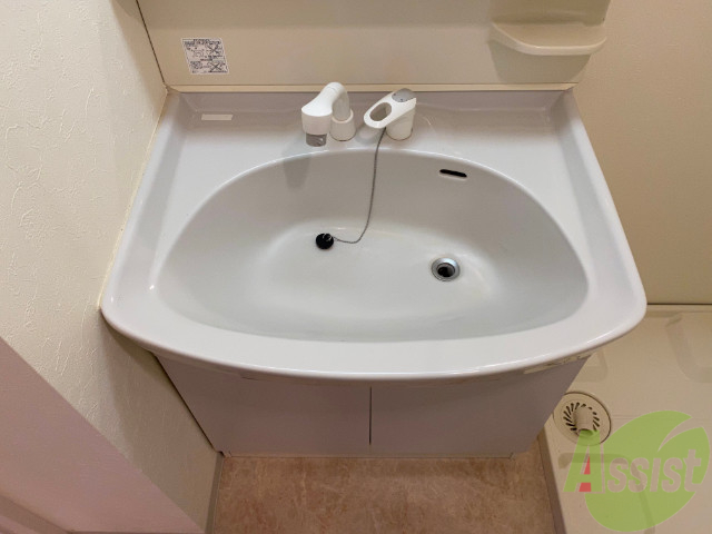 洗面設備　洗面台はこちらのシャンプードレッサー付きになりますね