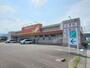 ドラックストア　ツルハドラッグ白石東店（ドラッグストア）まで800m