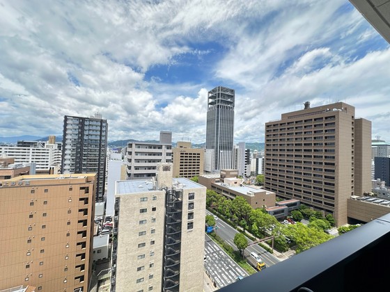 眺望　※別部屋の写真です