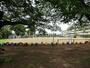 小学校　飯能市立富士見小学校（小学校）まで738m