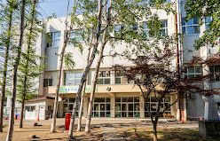 小学校　札幌市立みどり小学校（小学校）まで878m