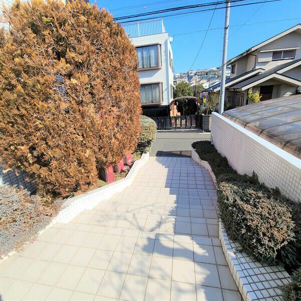 庭